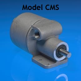 Model_CMS