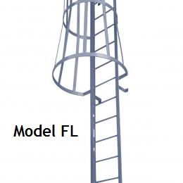 Model_FL